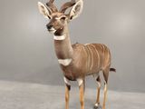 stuffed antelope standing in front of a gray background
