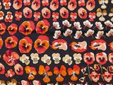 a close up of a black background with red and white flowers