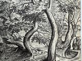 a drawing of a man sitting under a tree in the woods