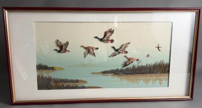 CURIOSITE. L'envol des canards, composition entièrement réal…