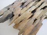 un morceau de bois flotté posé sur une table