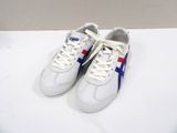 a pair of white sneakers with blue and red stripes on them