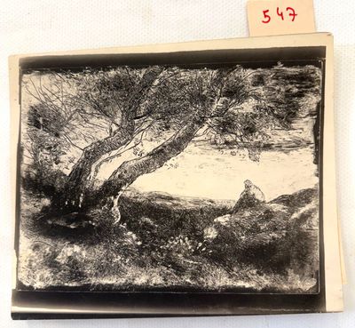 la photo d'une photo représentant un homme assis sous un arbre