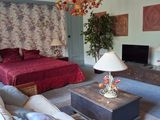un salon avec un canapé et un lit