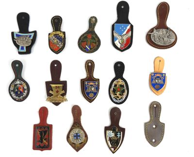 Ensemble de 13 insignes métalliques de régiment, BE