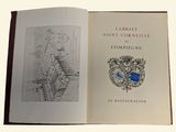 an open book with a picture of a blue stone on it