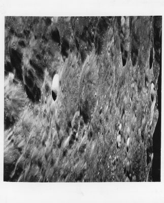 une photo en noir et blanc de la surface de la Lune