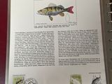 a book with a picture of a fish on it