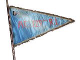 a blue and red flag with the word arizona on it