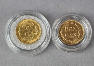 two gold coins in a clear plastic container on a gray surface