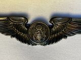 an image of a badge with wings on a white cloth