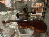 a violin that is on display in a glass case