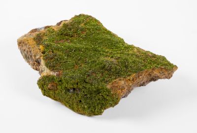 de la mousse verte poussant sur un rocher, sur fond blanc