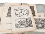 many pictures of animals on the pages of a book