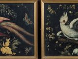deux tableaux encadrés représentant des oiseaux et des fleurs sur fond noir