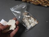 a person holding a piece of bread with mushrooms in it