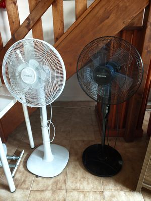 two fans sitting on the floor next to each other