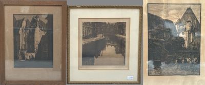 three framed pictures of horses and a dog are on a wall