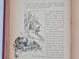 an open book with a picture of a bear on it