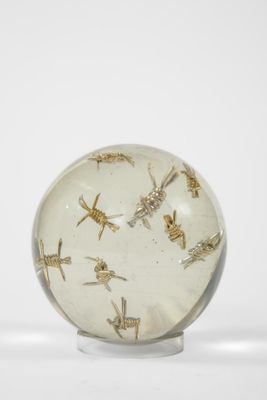 une boule de verre contenant de nombreux insectes