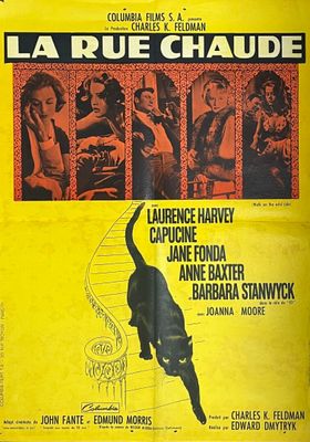 french movie poster for the film la rue chaude