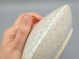 a person holding a white bowl with a cracky surface