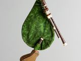 a green bag with a musical instrument hanging from it