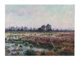 une peinture à l'huile représentant un marais avec des arbres en arrière-plan