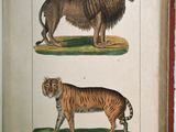 un vieux livre sur lequel figure l'image d'un lion et d'un tigre