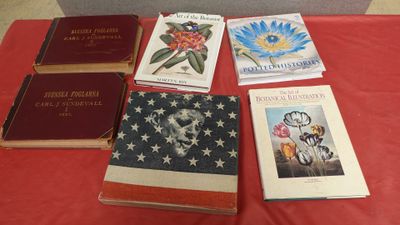 plusieurs livres posés sur une table, sur lesquels est posé un drapeau américain
