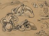 drawings of various objects on a piece of brown paper