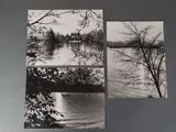 three black and white photographs of a lake and trees