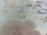a close up of a metal object with a red object in it