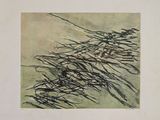 drawing of a black and white picture of a bunch of sticks