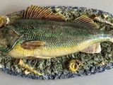 a fish that is sitting on a plate on the table