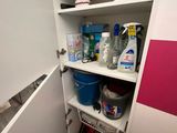 an image of a kitchen cupboard with a lot of cleaning supplies