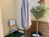 Photo 20/20 du lot