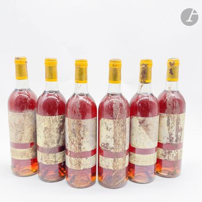 six bouteilles de vin alignées sur une surface blanche