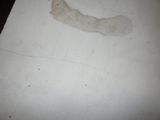 a piece of paper that has been left on the floor