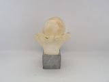 marble bust of a woman holding a flower on a marble base