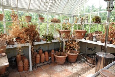 many pots that are sitting on the shelves in the greenhouse