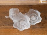 deux fleurs blanches posées sur une table en bois