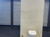 des toilettes au milieu d'une pièce, avec une plante posée par terre