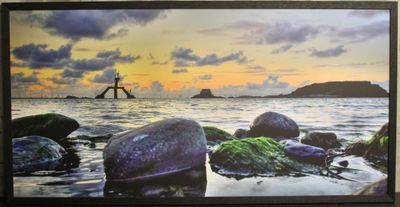 une photo d'un tableau accroché au mur d'une pièce