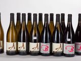 six bouteilles de vin sont alignées sur un fond blanc