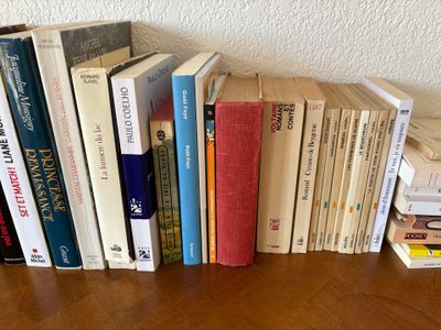 Lots de littérature française et étrangère Stefan ZWEIG, Alb…