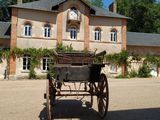 Photo 4/4 du lot