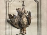 une photo d'un oiseau mort accrochée au mur
