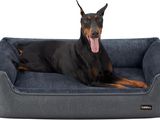Le chien est allongé sur son panier, la langue pendante.