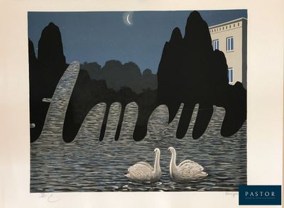 une photo de deux cygnes dans l'eau, la nuit